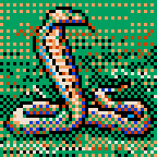 발견물 24번 킹 코브라 그림